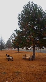 Park bench on field against clear sky