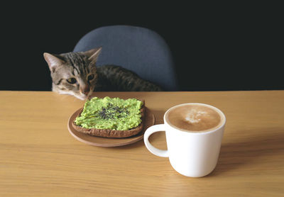 Tabby cat looking at toasted bread and coffee cup on table against black background