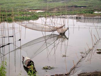 Plants growing on field by lake