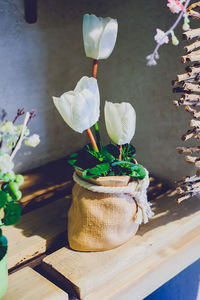 Close-up of flowers on table