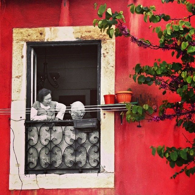 red, built structure, door, building exterior, architecture, wall - building feature, closed, house, wall, entrance, day, window, outdoors, front view, wood - material, plant, brick wall, standing