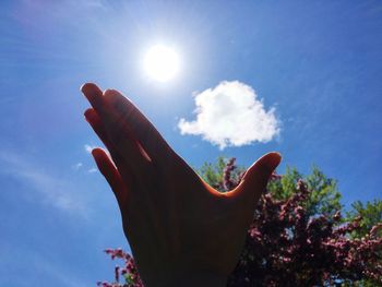 Low angle view of hand against sky