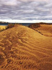 Scenic view of sand dune on field against sky