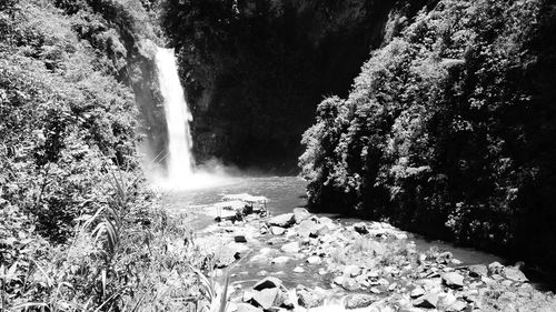 River flowing through rocks in forest