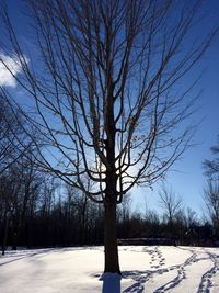 Snow covered landscape