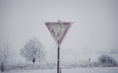 Close-up of bare tree against sky