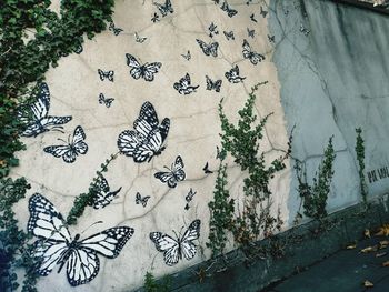 High angle view of flowering plants on wall