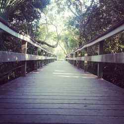 Footbridge over trees