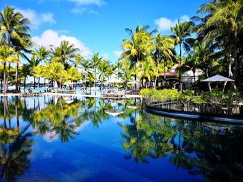 Palm trees by swimming pool against sky