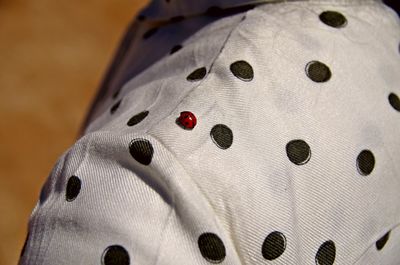 Close-up of lady bug on person
