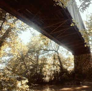 Low angle view of bridge in forest