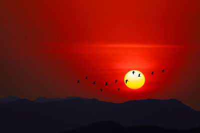 Sunset on evening sky over silhouette mountain and bird flying on the red sky