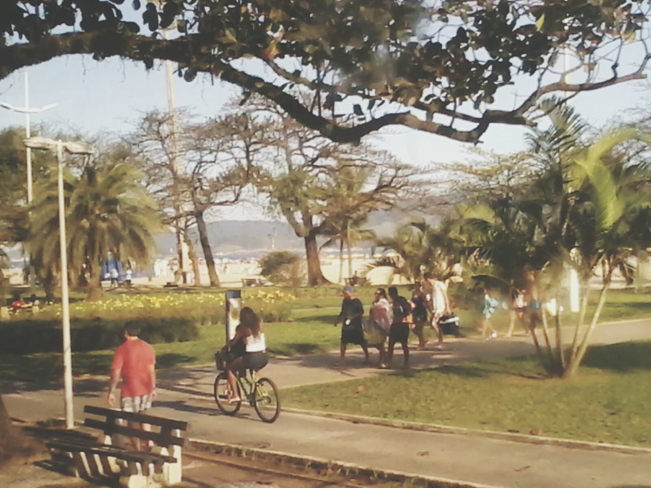 tree, lifestyles, leisure activity, bicycle, men, sitting, bench, park - man made space, person, water, relaxation, sunlight, nature, transportation, sky, mode of transport, full length, outdoors