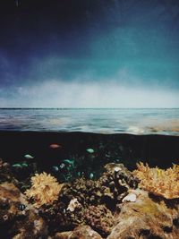 Scenic view of sea against sky