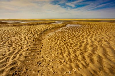 Scenic view of sandy beach during sunset