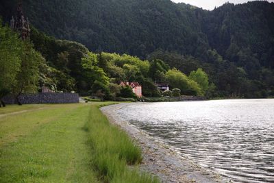 Scenic view of lake in forest