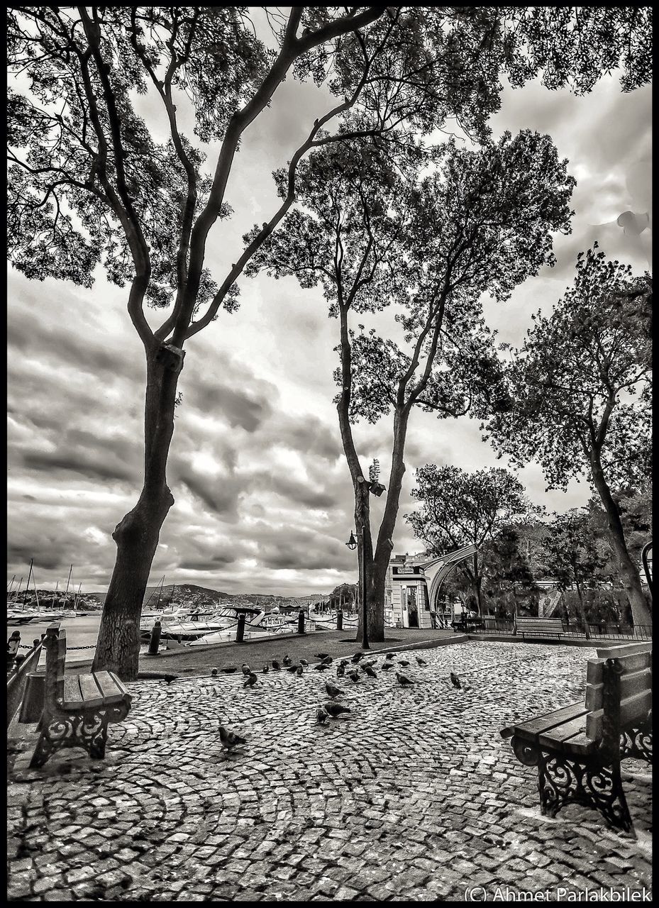 transfer print, sky, tree, cloud - sky, auto post production filter, built structure, architecture, cloudy, building exterior, branch, cloud, bare tree, railing, nature, water, tranquility, day, outdoors, bridge - man made structure, river