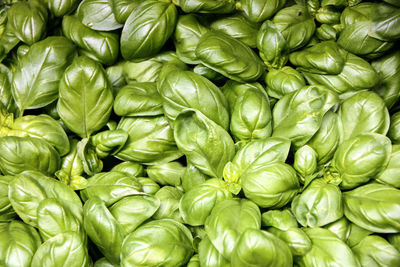 Full frame shot of green beans