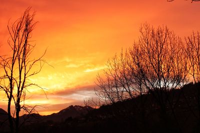 Silhouette bare tree against dramatic sky during sunset