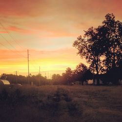 Silhouette trees on landscape at sunset