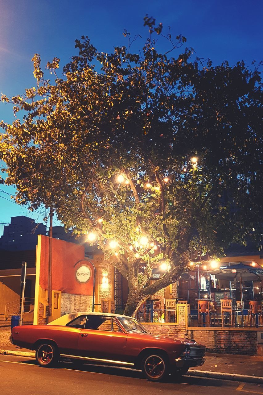 CAR ON ILLUMINATED STREET AT NIGHT