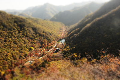 Scenic view of landscape