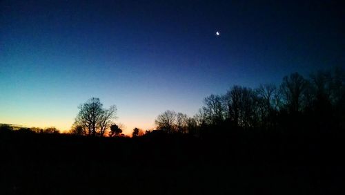 Silhouette of trees at sunset