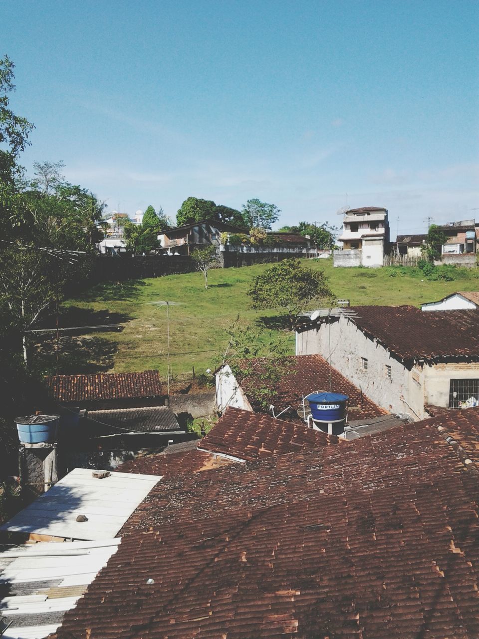 building exterior, built structure, architecture, tree, house, clear sky, roof, sky, residential structure, residential building, sunlight, day, growth, outdoors, no people, blue, empty, the way forward, nature, footpath