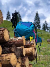 Stack of logs on field against trees