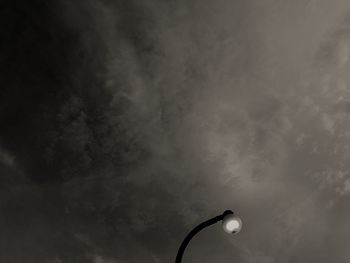 Low angle view of tree against sky