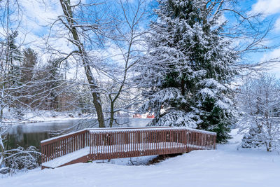 Trees on snow covered landscape