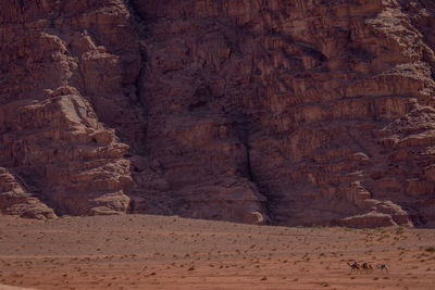 Rock formations in a desert