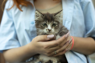 Midsection of woman holding kitten