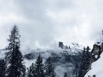 Low angle view of trees against cloudy sky