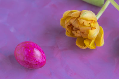 Close-up of pink rose on table