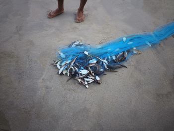 Low section of fisherman with fish in net at beach