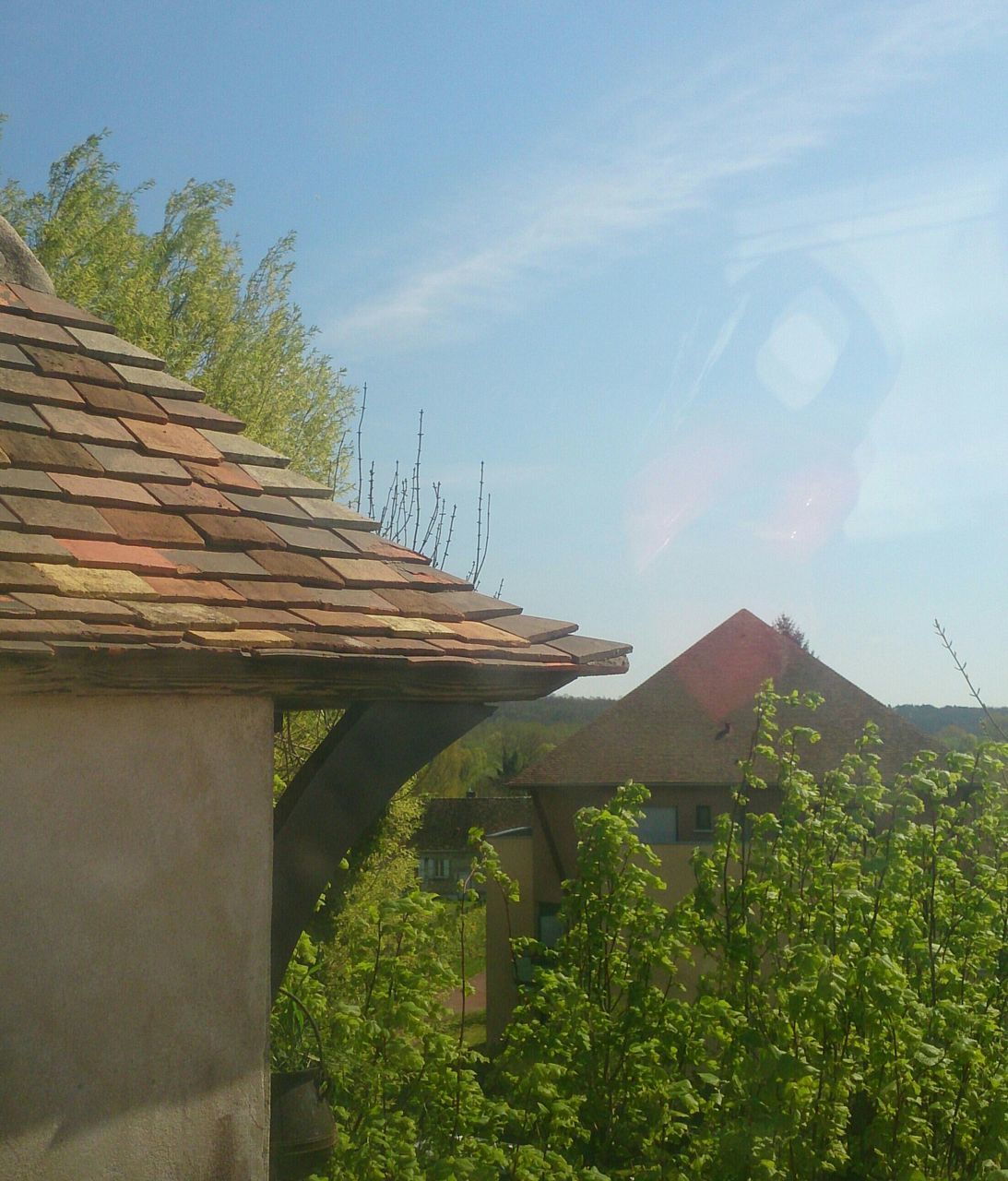 built structure, architecture, building exterior, sky, house, roof, low angle view, cloud - sky, plant, residential structure, sunlight, growth, outdoors, tree, day, cloud, nature, no people, green color, steps