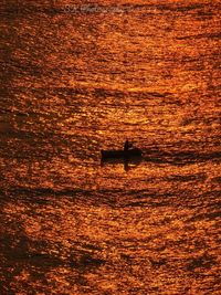 Boat sailing in sea during sunset