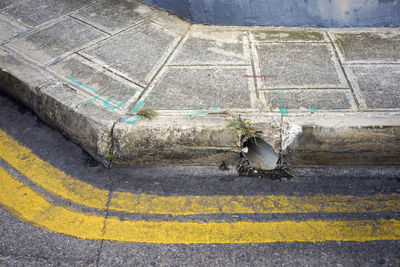 High angle view of road markings on road