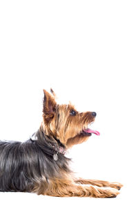 Low angle view of white background against clear sky