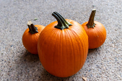 Close-up of pumpkin pumpkins during autumn