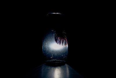 Close-up of illuminated lamp in dark room