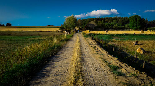 Road passing through field