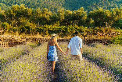 Couple strolling through beautiful fields of lavender on an eco-farm.