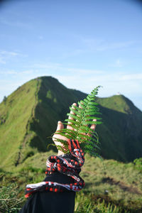 Fern on the mountain