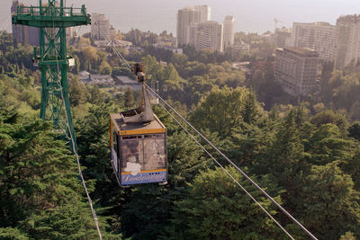 High angle view of trees and buildings in city