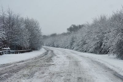 Road amidst trees against clear sky during winter