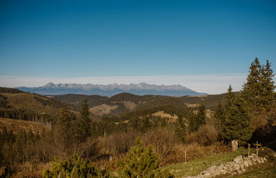 Scenic view of landscape against clear blue sky