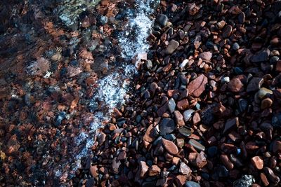 Full frame shot of coffee beans