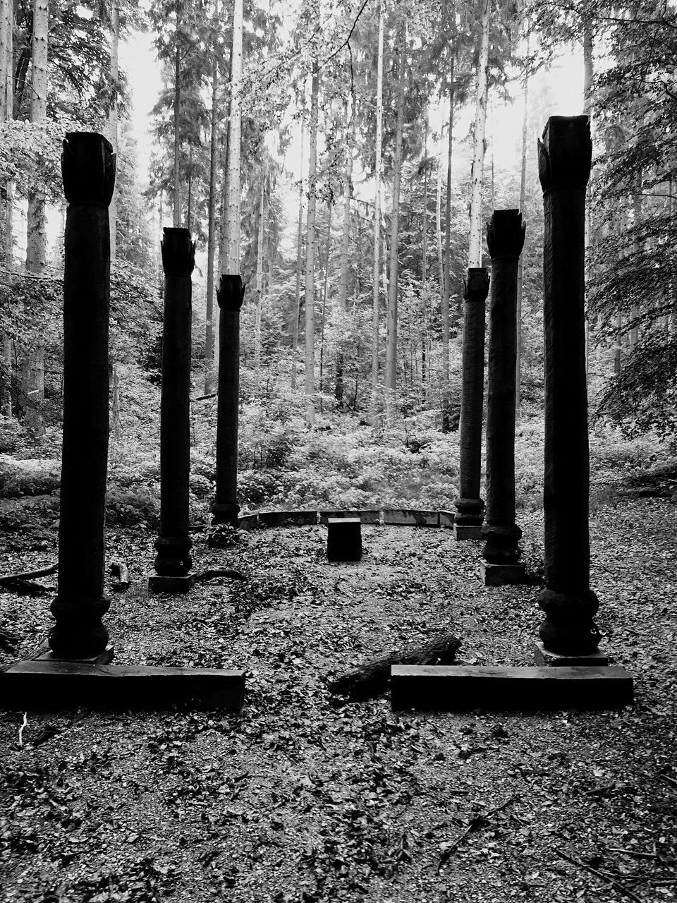 tree, tree trunk, wood - material, tranquility, nature, park - man made space, growth, forest, day, fence, outdoors, no people, bench, tranquil scene, wooden, sunlight, pole, metal, wooden post, shadow